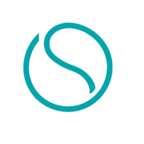 SebyOne Logo